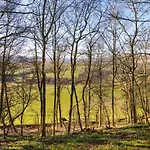 بيت للعطل Snowdrop, An Eco And Dog Friendly With Hot Tub, 10 Minutes To Ullswater